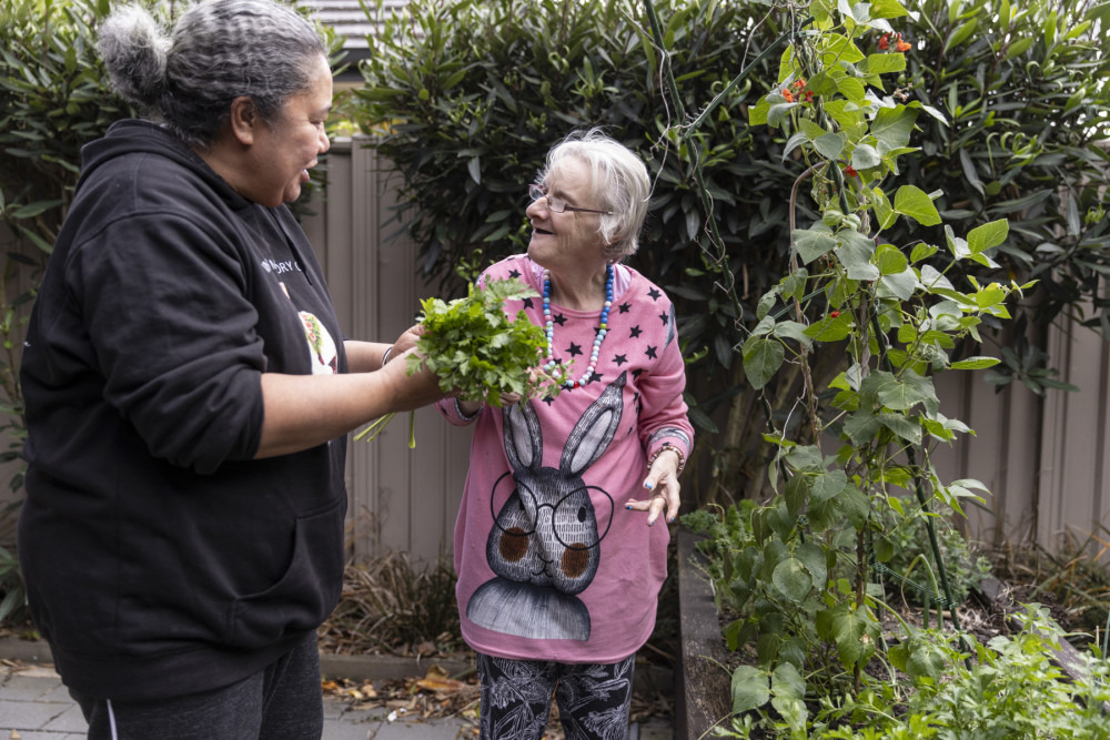 People in garden